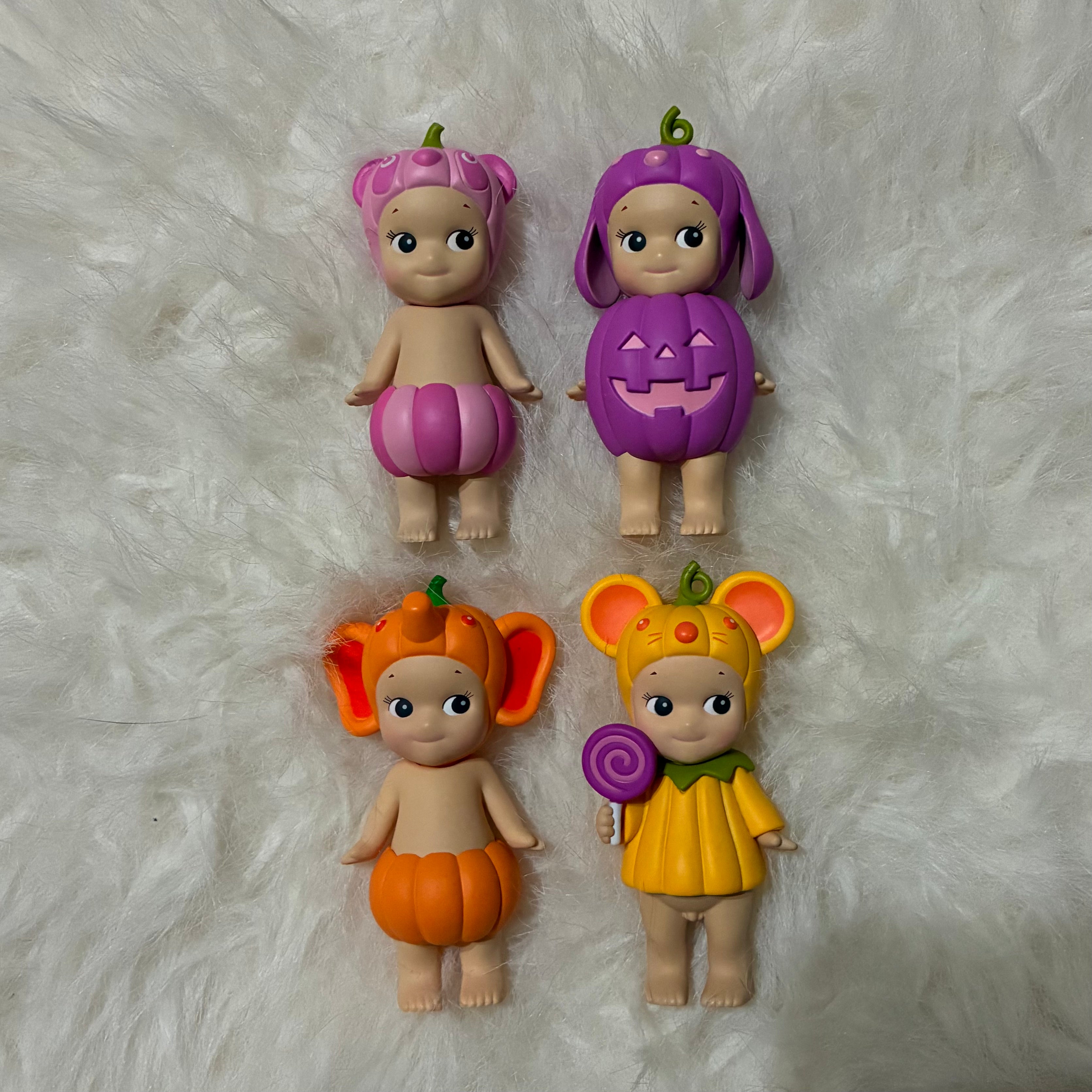 Pumpkin Patch Series