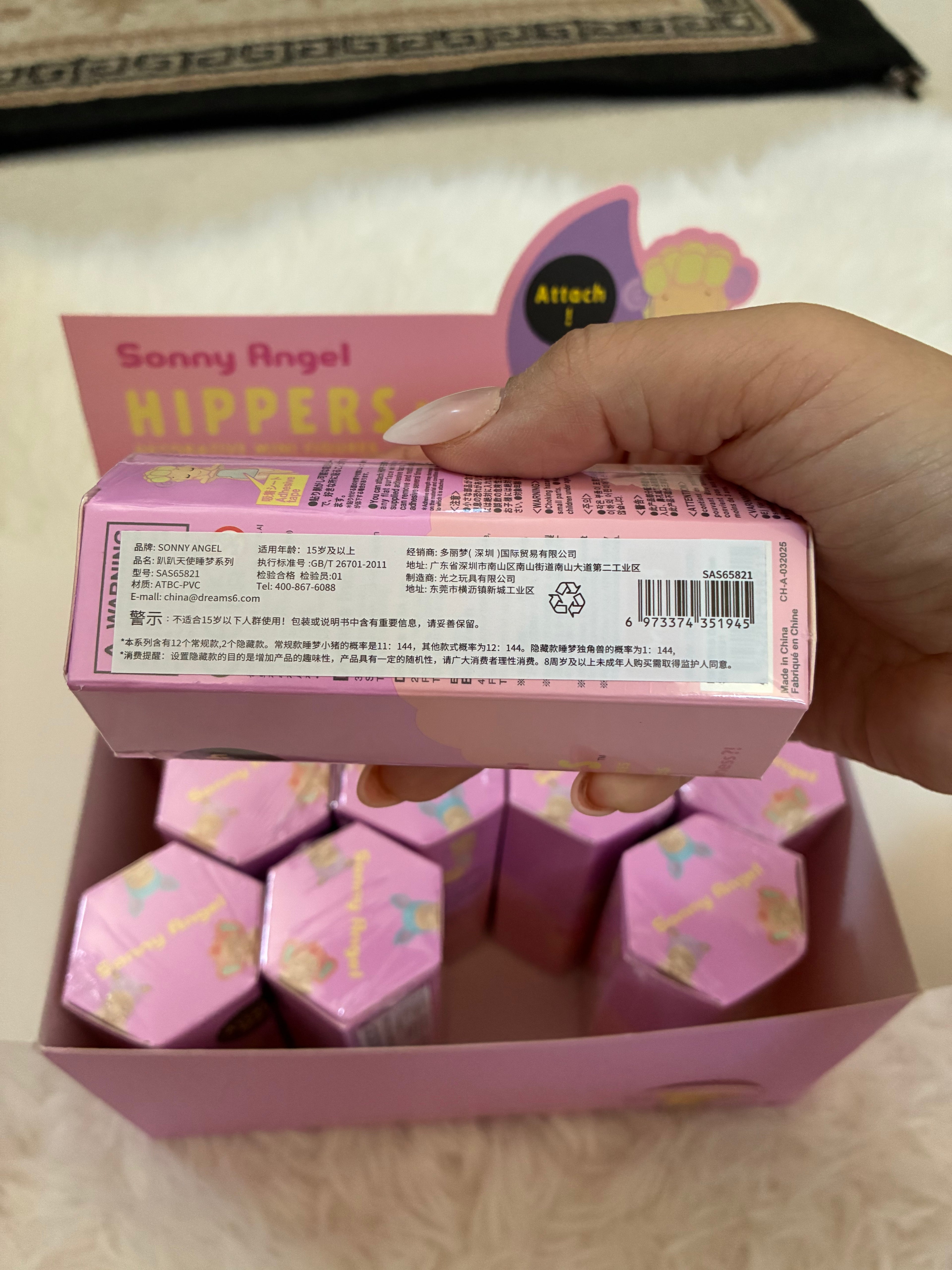 Sonny Angel Hippers Dreaming Series Blind Box