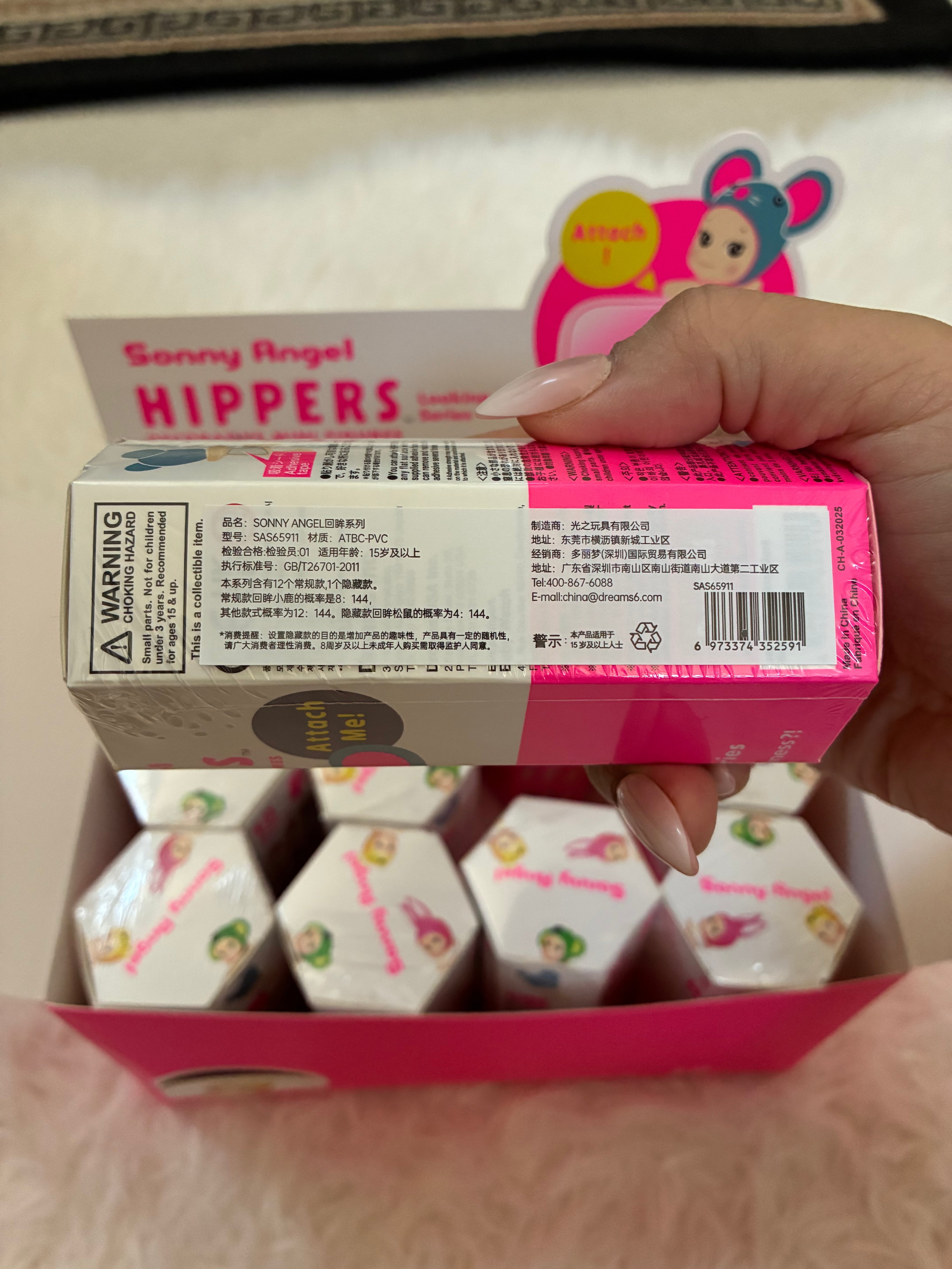 Sonny Angel Hippers Looking Back Series Blind Box